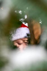 Garstner Advent 02.12.2023   24